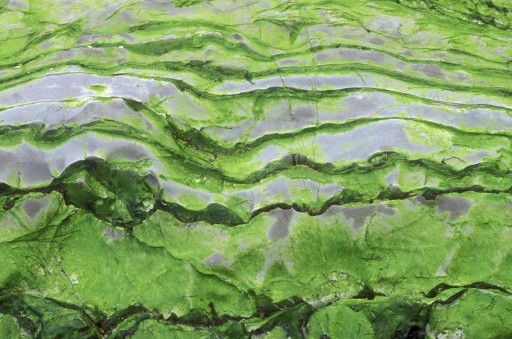 龍巖市醫院環保污水處理設備廠家